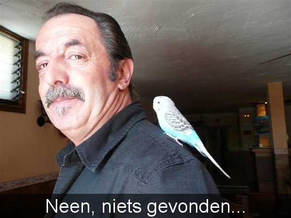 20110223 dag 4: Tenerife, Las Amricas.