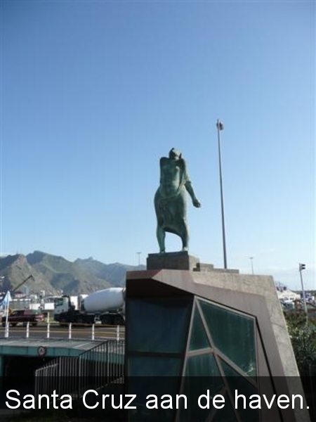 20110224 dag 5:Tenerife, daguitstap.