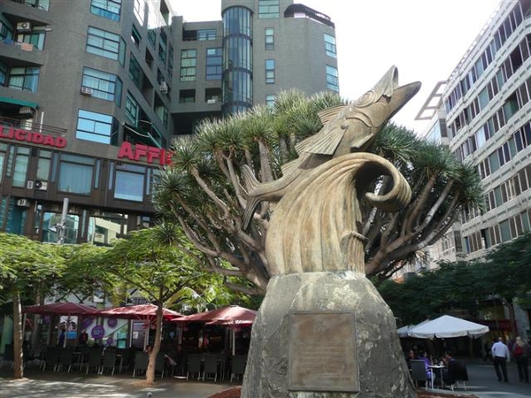 20110224 dag 5: Tenerife, daguitstap.