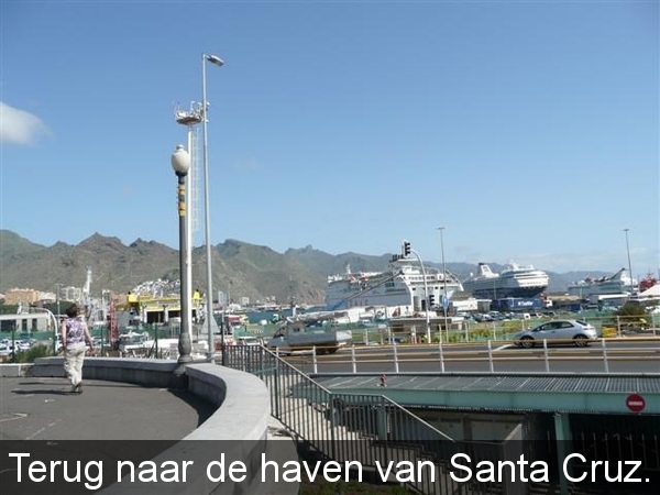 20110224 dag 5: Tenerife, daguitstap.