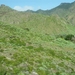 20110224 dag 5: Tenerife, daguitstap.