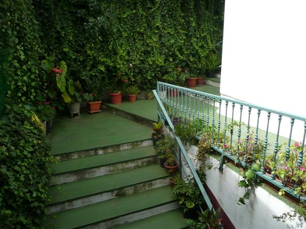 20110224 dag 5 : Tenerife, daguitstap.