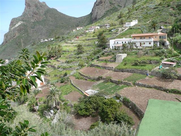 20110224 dag 5: Tenerife, daguitstap.