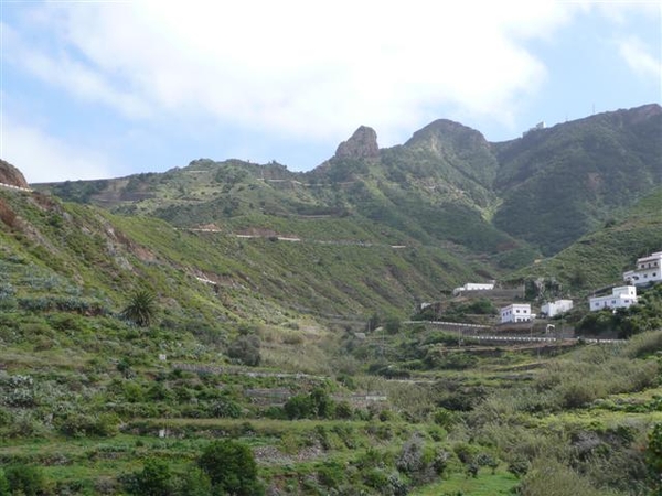 20110224 dag 5: Tenerife, daguitstap.