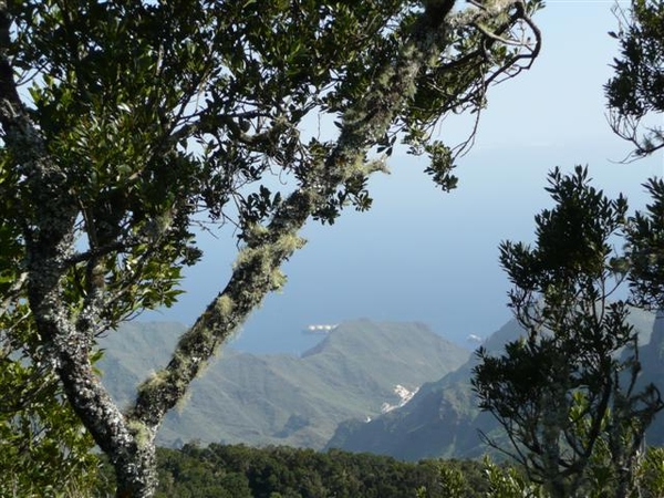 20110224 dag 5: Tenerife, daguitstap.