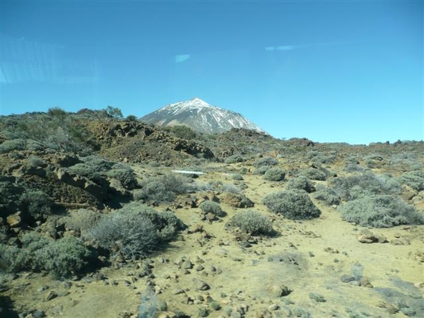 20110225 dag 6: Tenerife, daguitstap 2.