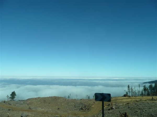 20110225 dag 6: Tenerife, daguitstap 2.