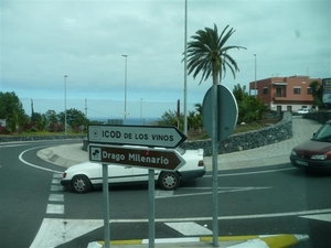 20110225 dag 6: Tenerife, daguitstap 2.