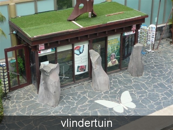 20110225 dag 6: Tenerife, daguitstap 2.