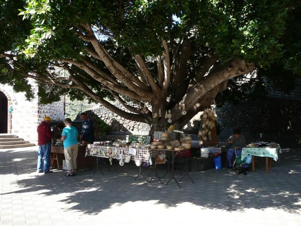 20110225 dag 6:Tenerife, daguitstap 2.