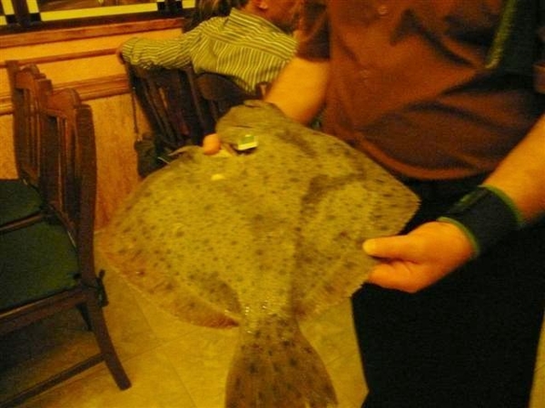 20110226 dag 7 Tenerife, even verpozen... 481