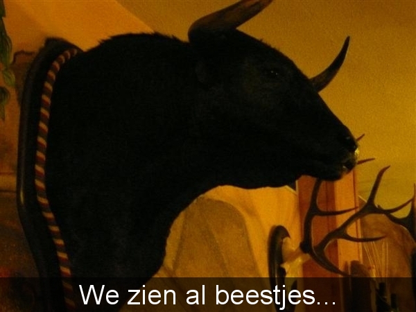 20110226 dag 7 Tenerife, even verpozen...471