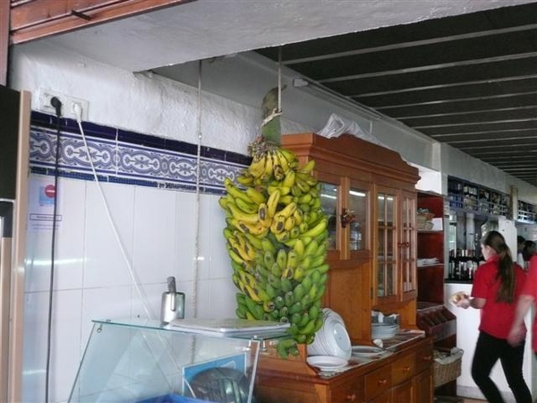 20110227 dag 8 Tenerife, naar La Caletta 510