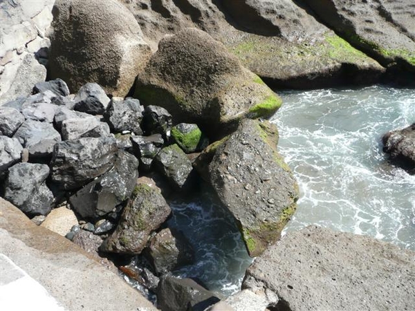 20110227 dag 8 Tenerife, naar La Caleta 517