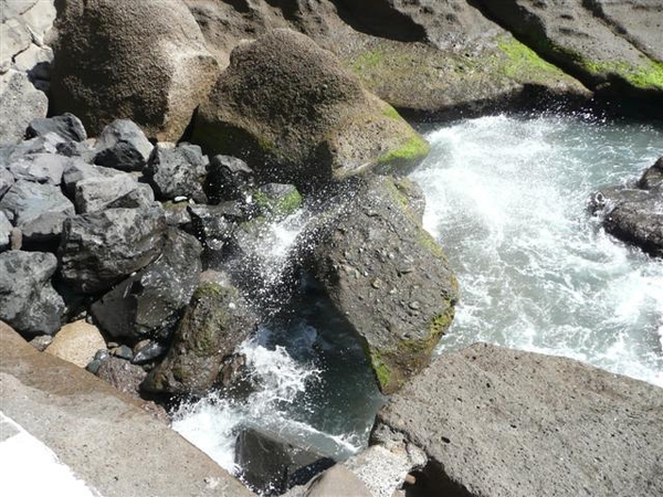 20110227 dag 8 Tenerife, naar La Caleta 518