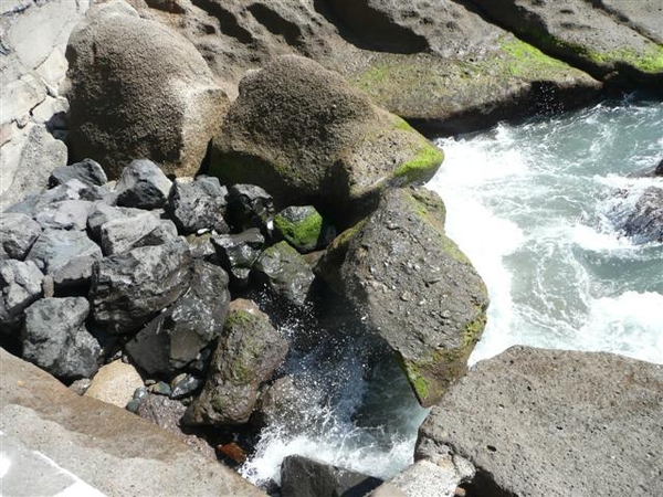 20110227 dag 8 Tenerife, naar La Caleta 519