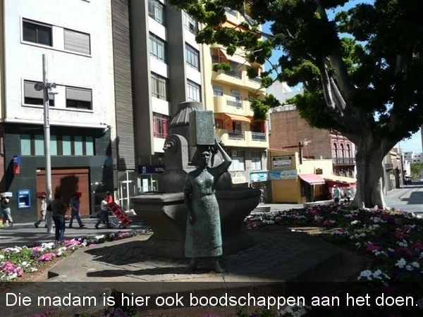 20110228 dag 9 Tenerife, 2de bezoek aan Santa Cruz 549