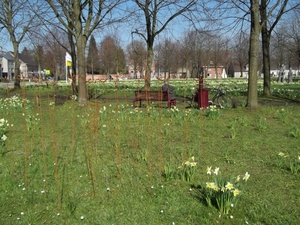 BLOEMENVELD