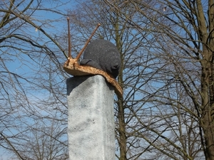 DROMEN IN DE WIND-ROLAND MENTEN