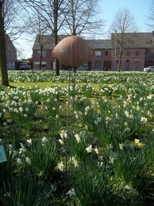 WINDFLUISTERAAR 1-DIMITRI CAMBIER