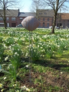 WINDFLUISTERAAR 3-DIMITRI CAMBIER