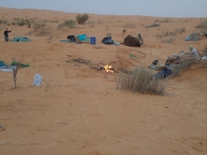 DSC02380