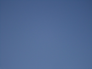 DSC02405