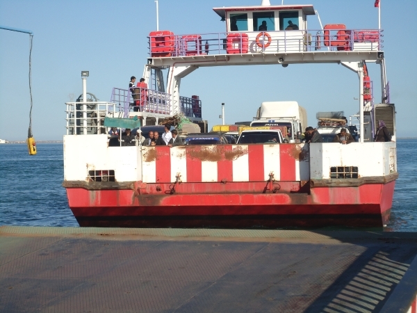 DSC02439