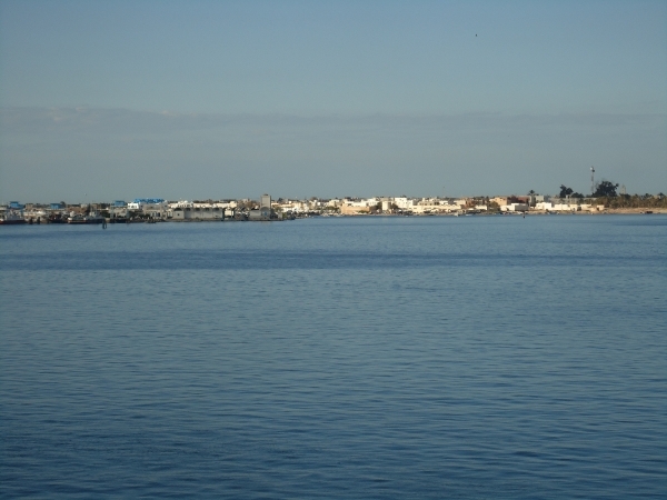 DSC02441