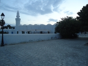 DSC02445