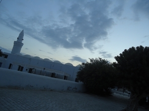 DSC02446