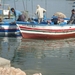 DSC02480