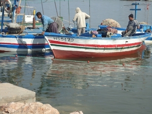 DSC02480