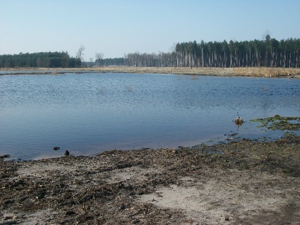 031-Vijvers en natuurgebied van Averbode