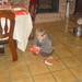 Afbeelding 068