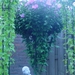 Afbeelding 179