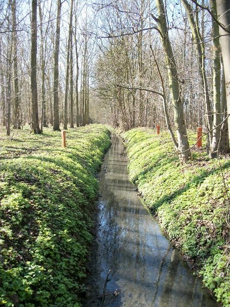 16-Langs veldwegen n.h.Steentjesbos