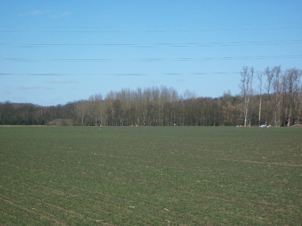 17-Doorheen de bakermat v.h.witloof