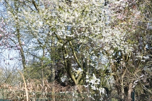 001 WEZELIJK GENIETEN VAN STIL GELUK IN DE NATUUR...