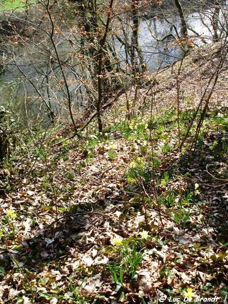 marche Adeps Houyet Ardennen