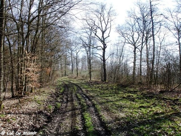 marche Adeps Houyet Ardennen