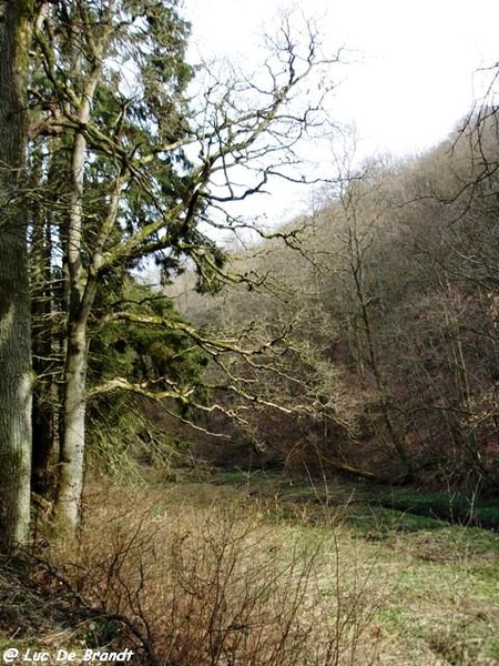 marche Adeps Houyet Ardennen