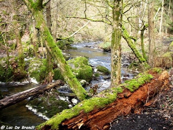 marche Adeps Houyet Ardennen