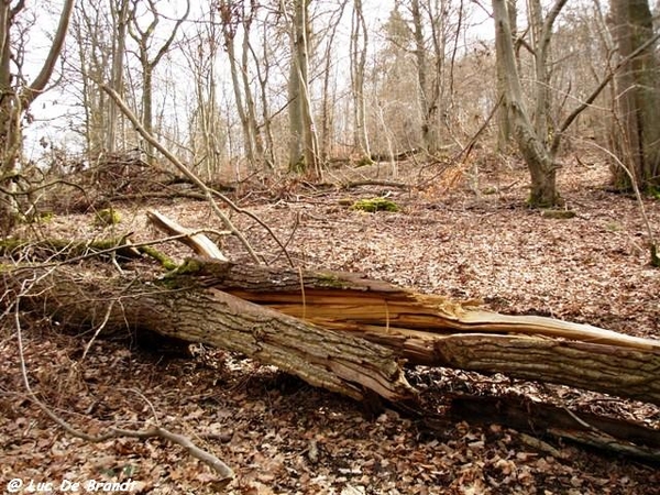 marche Adeps Houyet Ardennen