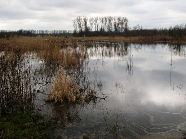 61-Moerassen-met heide en bossen