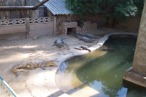 DCP_0573