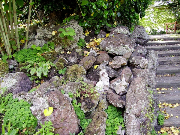 Hortus