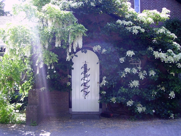 Hortus