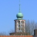 maart 026