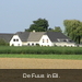 P9050017